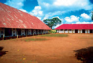 Conservation image