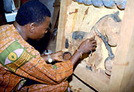 Conservation image