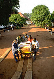 Conservation image