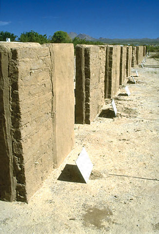 Conservation Image