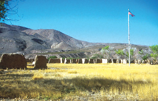 Conservation Image