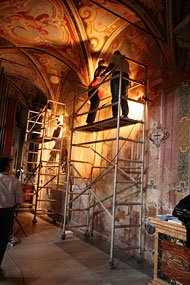 conservation image