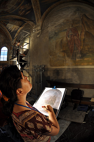 Conservation image