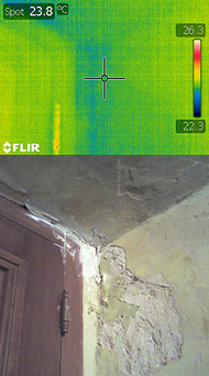 Conservation image