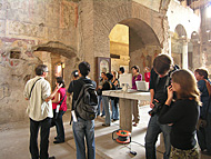 Conservation image