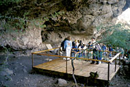 Conservation Image
