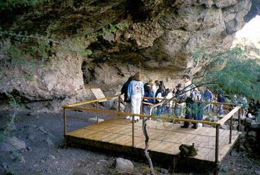 Conservation Image