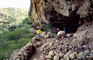 Conservation Image