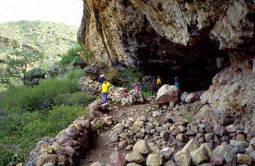 Conservation Image