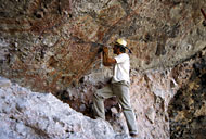 Conservation Image