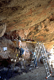 Conservation Image