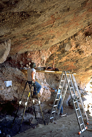 Conservation Image