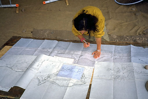 Conservation Image