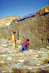 Conservation Image
