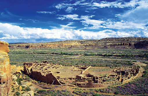 Conservation Image
