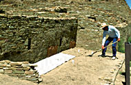 Conservation Image