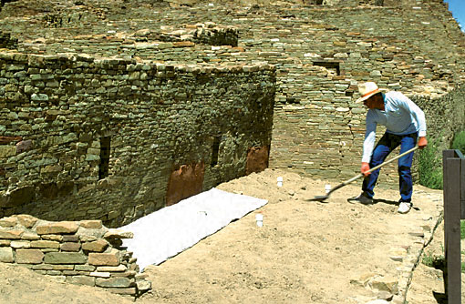 Conservation Image