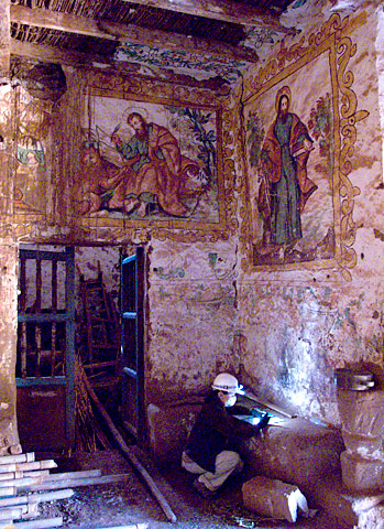 Conservation image