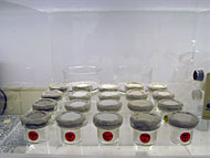 laboratory testing for grouts