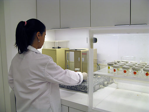 laboratory testing for grouts