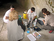field testing grouts at Herculaneum