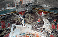 Conservation image