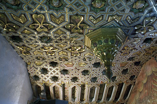 Conservation image