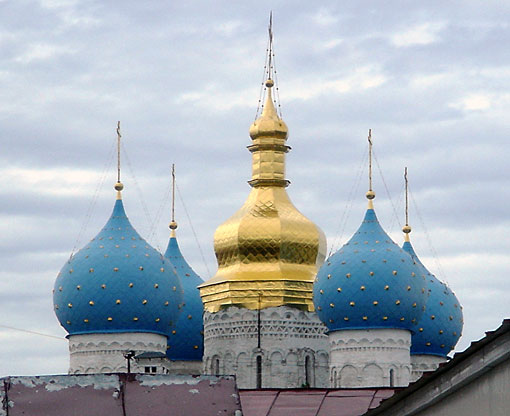 Conservation image