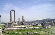 conservation image