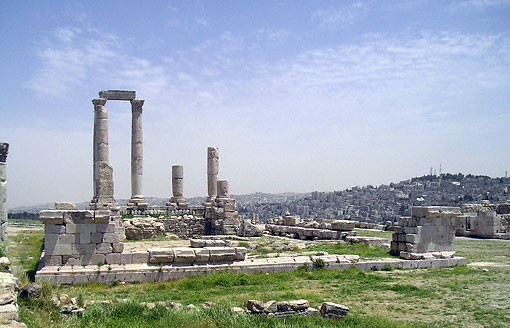 conservation image