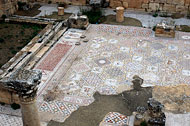 conservation image
