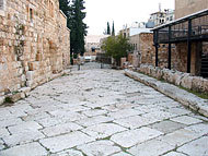 conservation image