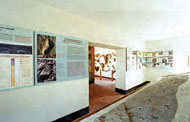 Conservation image