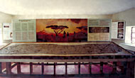 Conservation image