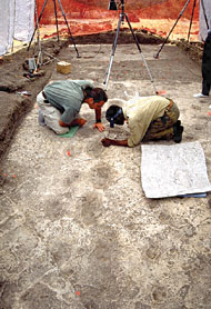 Conservation image