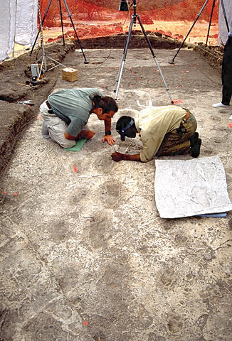 Conservation image