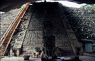 Conservation image