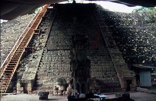 Conservation image