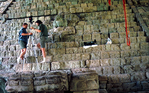 Conservation image