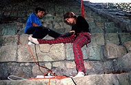 Conservation image
