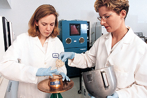 Conservation image