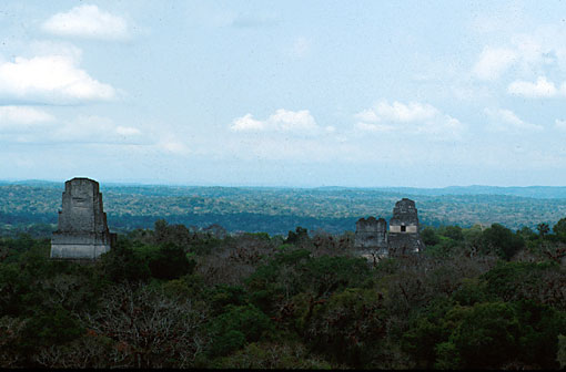 Conservation image