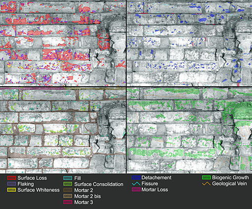Conservation image