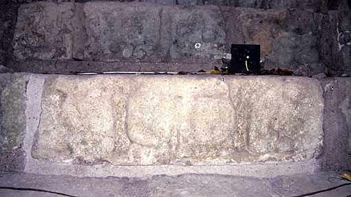 Conservation image