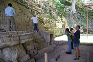 Conservation image