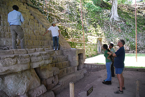 Conservation image