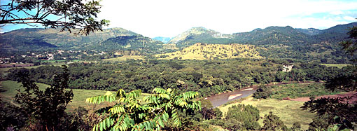 Conservation image