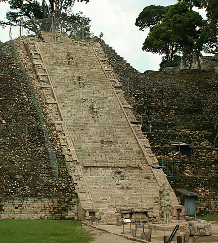 Conservation image