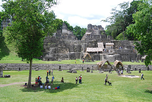 Conservation image