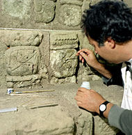 Conservation image
